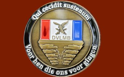DVLMB